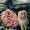 meexsh_1622