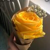 am_2021__
