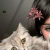 bz__sf6