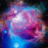 elohimsomniststar