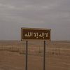 ali_8_aa