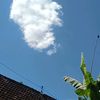 sinta24768