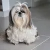 lucy.tyni