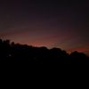 a_n_f_v_56964