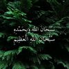 user43218740452