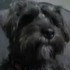 waryranger