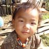 lobsang556