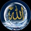 user76180386888772