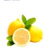 miss_lemonita