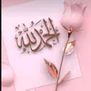 nour.tiktok28