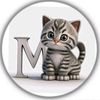 manish_shah_369