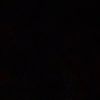 zoy_scayy