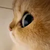 ursertp