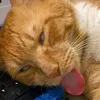 jhhjjhbbnkhb
