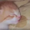 miming_boy
