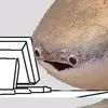 daykhongphaiaccclone_