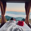 nichy_natthanicha