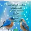 user9501073733690
