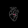 hemaelgndy_1122