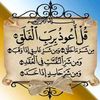 lailaahmed2221