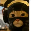 account.not.found_456