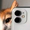 zaid_3091