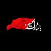 sayd_313_