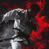 emilpavlov14