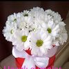 semanur_um