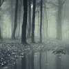 joshuajohnston176