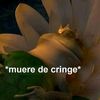 angel_bbm