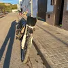 _josan2