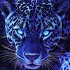 leopardo.100
