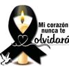 aracelyrojas500