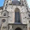 djordjecic