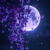 javier_6234
