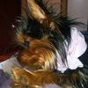 caro117488