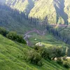 nasin.khan