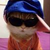 kimi88.0