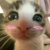 minhngowkhow