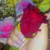 imane9411