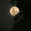 yourmoon89