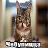 olivker_so