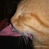 jake03j