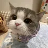 bphucnee