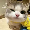 .wangxingyue02
