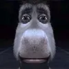 capybara._.26