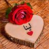 yasmeenhendy546