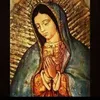 ramonbenavidez783
