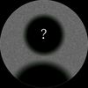 user019846460